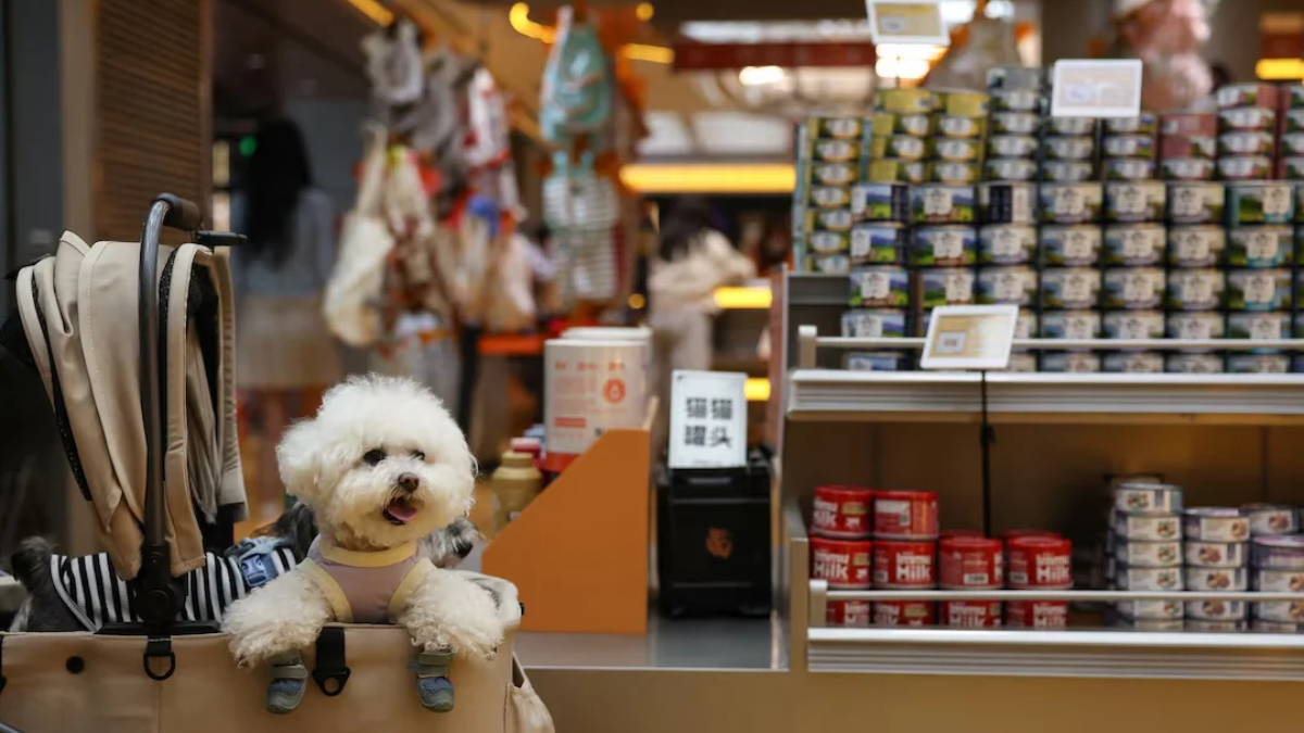 Purina Hungary Expansion: What It Means for Pet Food Market