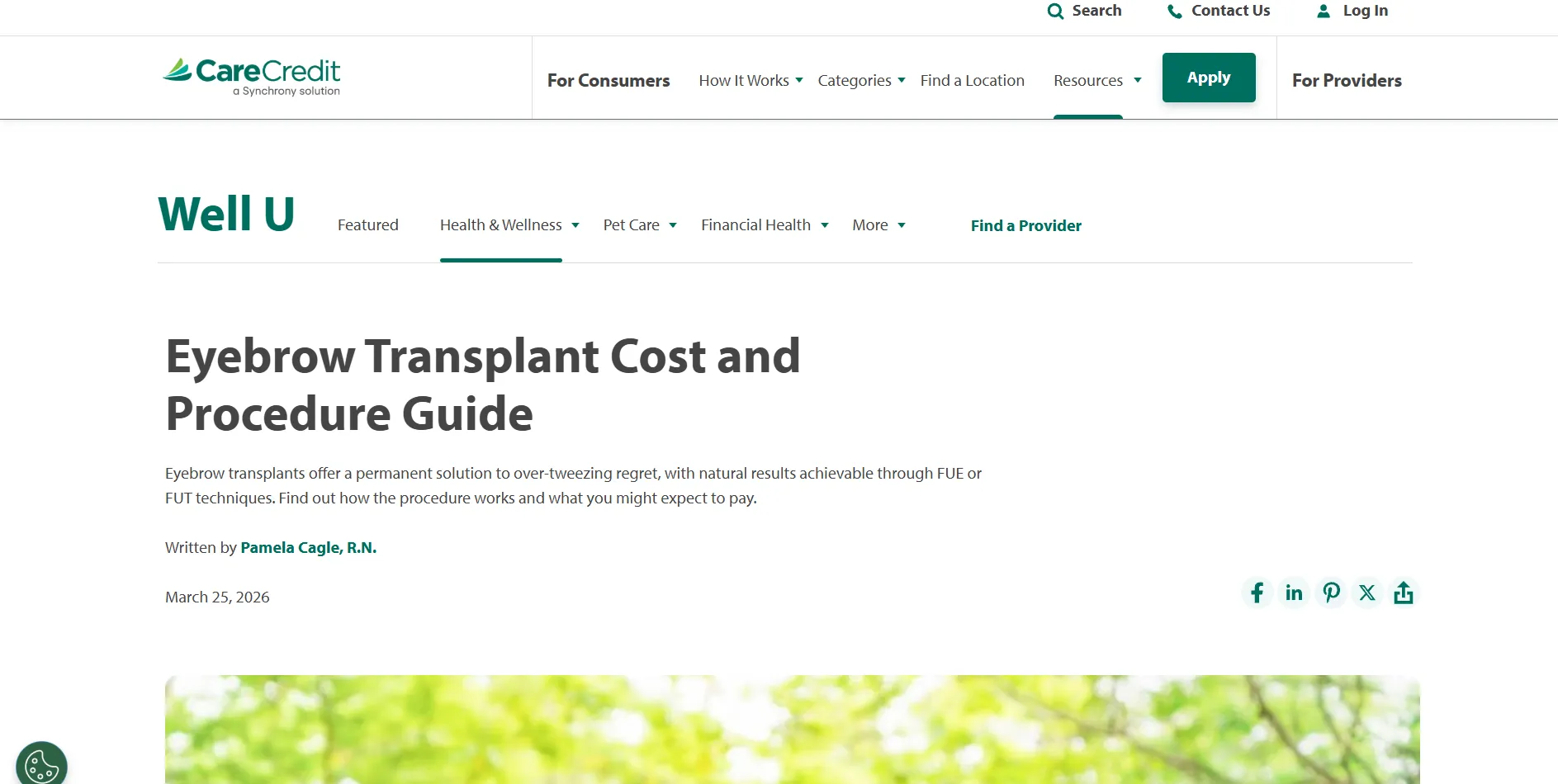 CareCredit citation screenshot