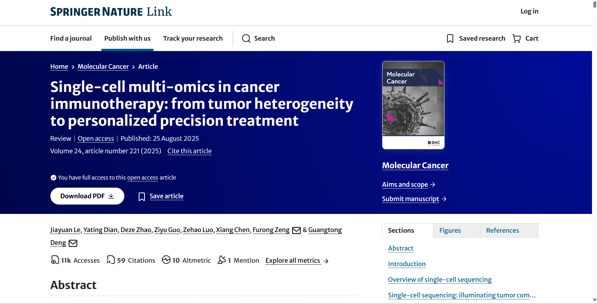 Springer Nature Link citation screenshot