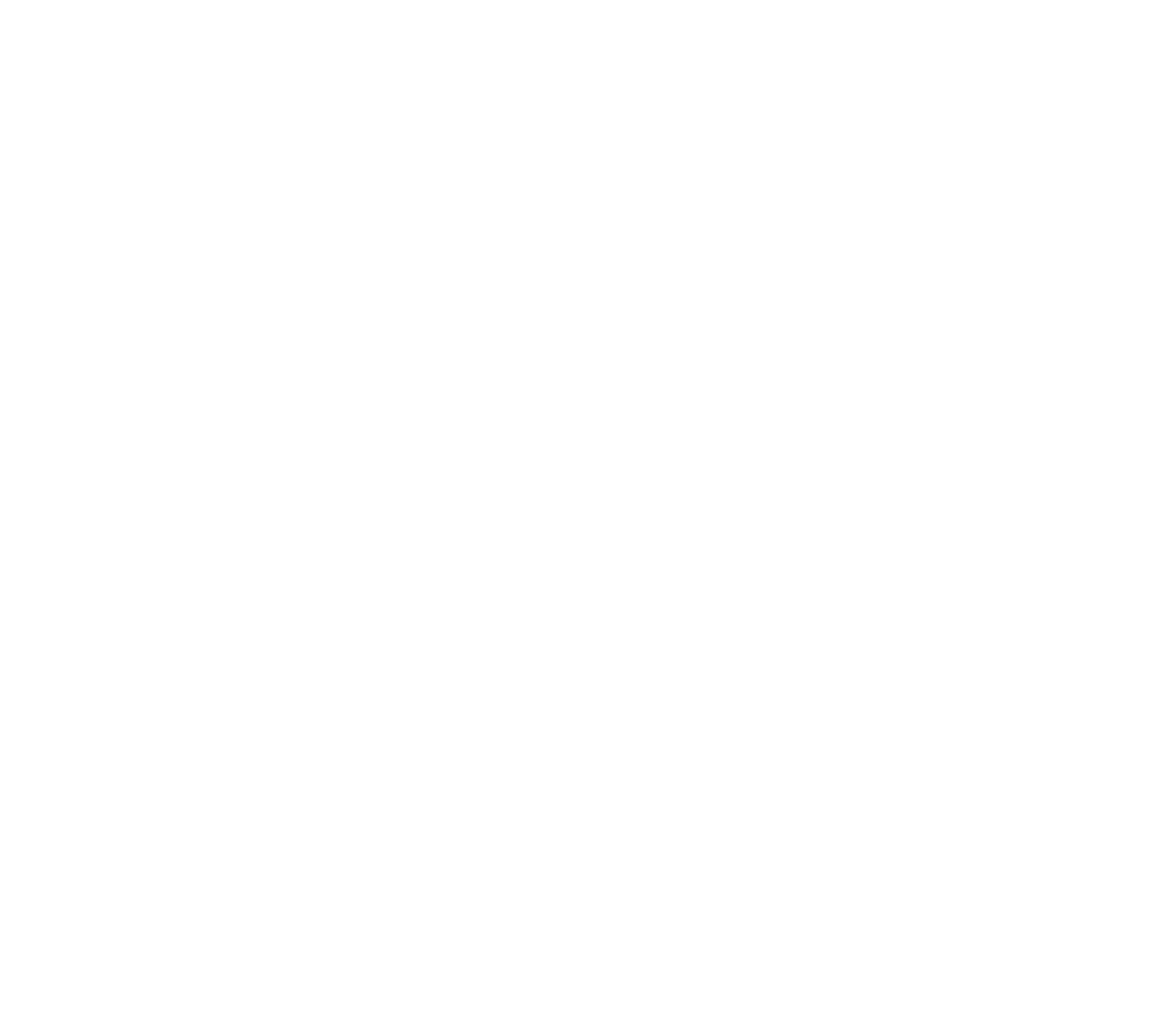 Evo Partners Ltd
