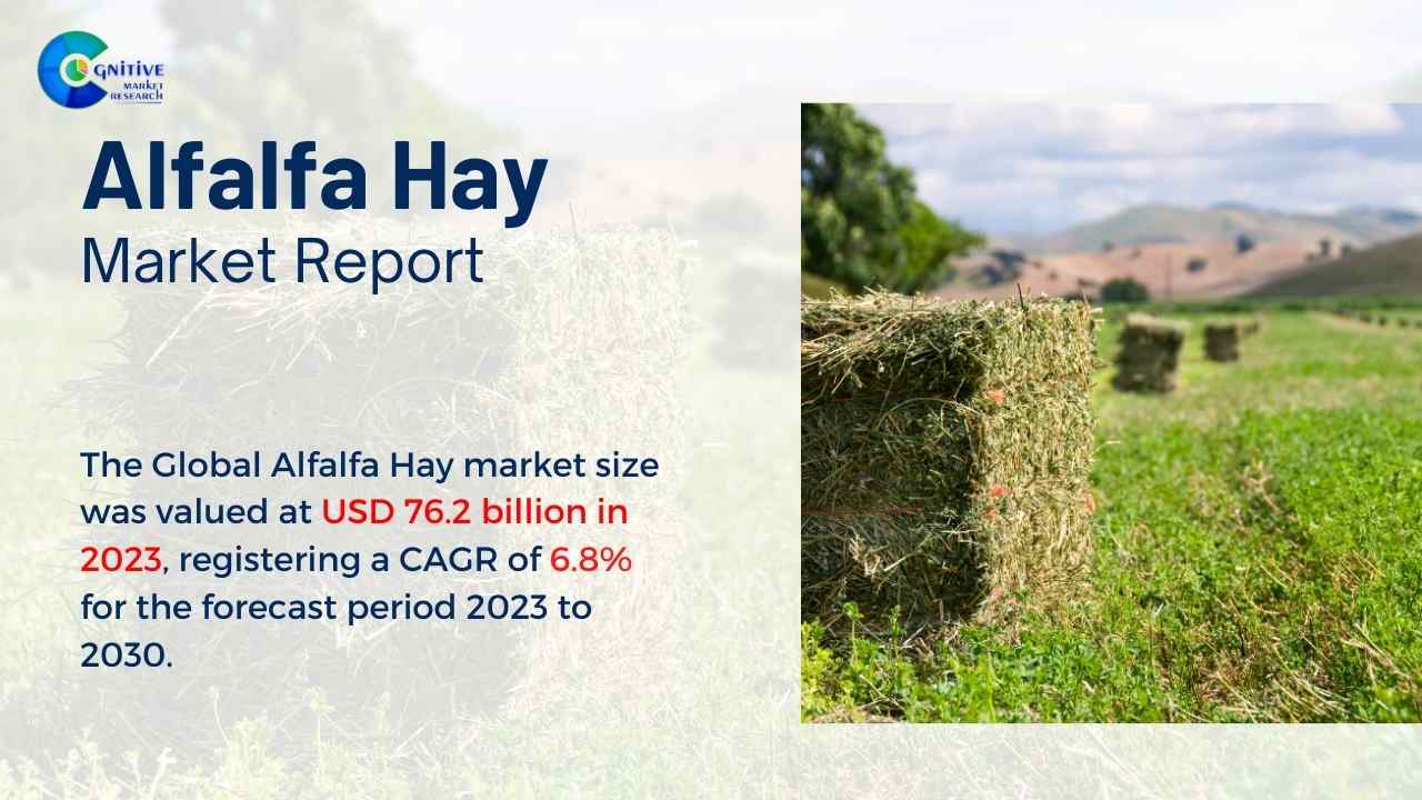 Alfalfa Hay Market Report