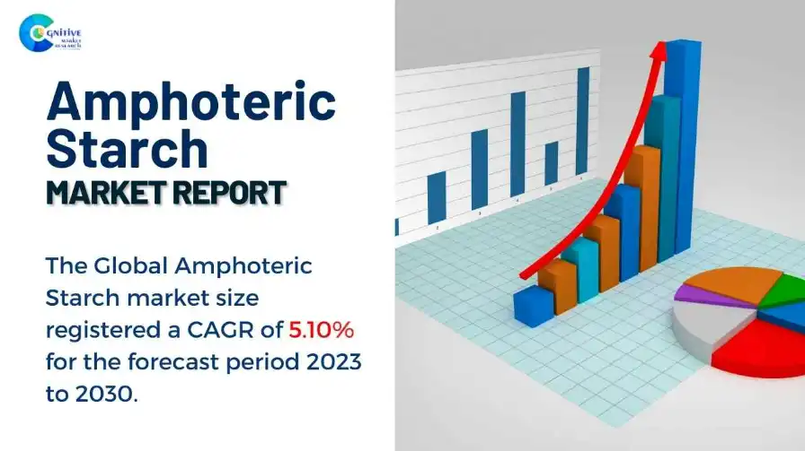 Amphoteric Starch Market Report
