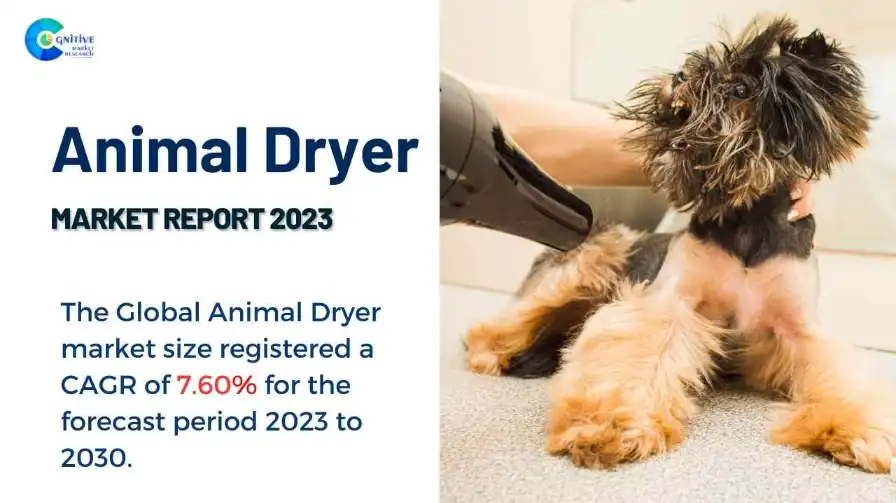 Animal Dryer Market Report