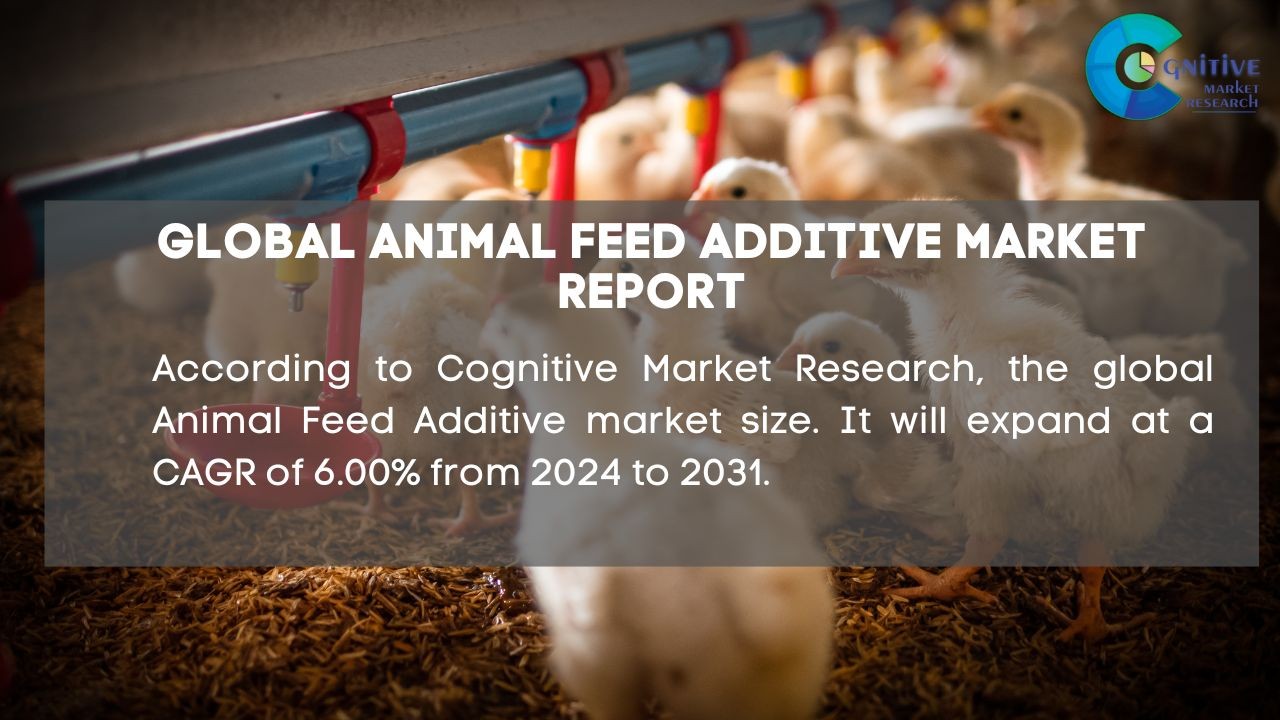 Animal Feed Additive Market Report