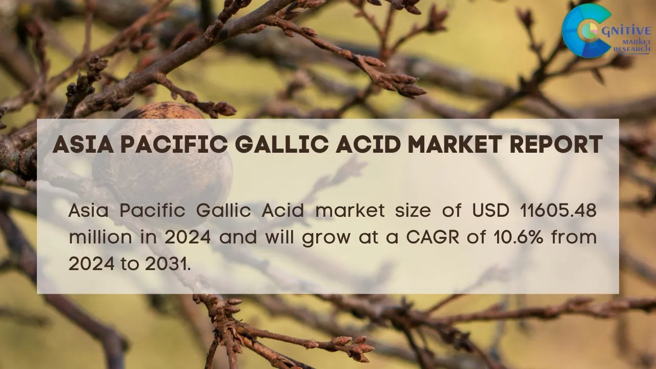 Asia Pacific Gallic Acid Market Report