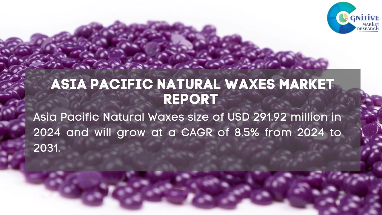 Asia Pacific Natural Waxes Market Report