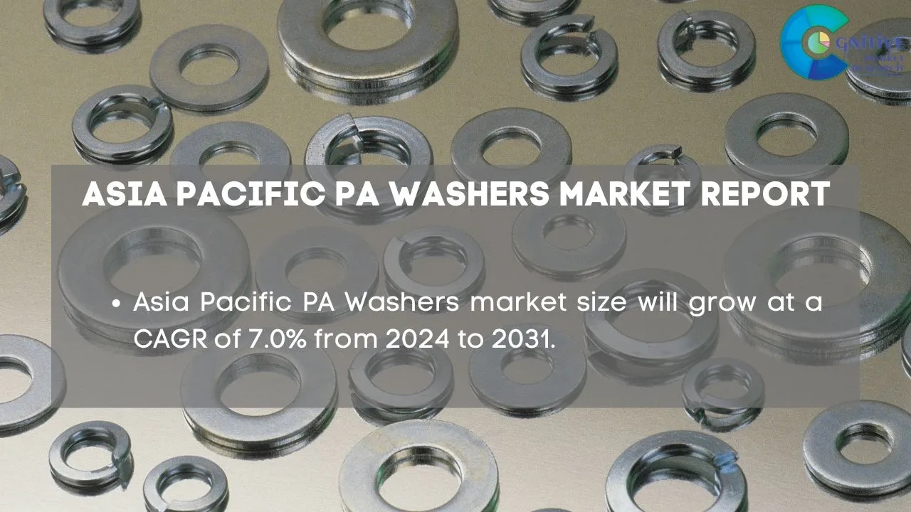 Asia Pacific PA Washers Market Report