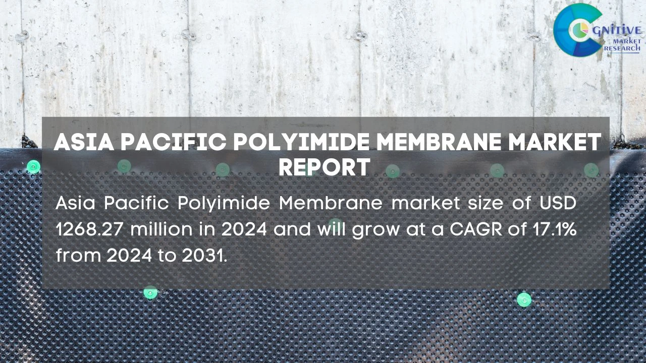 Asia Pacific Polyimide Membrane Market Report