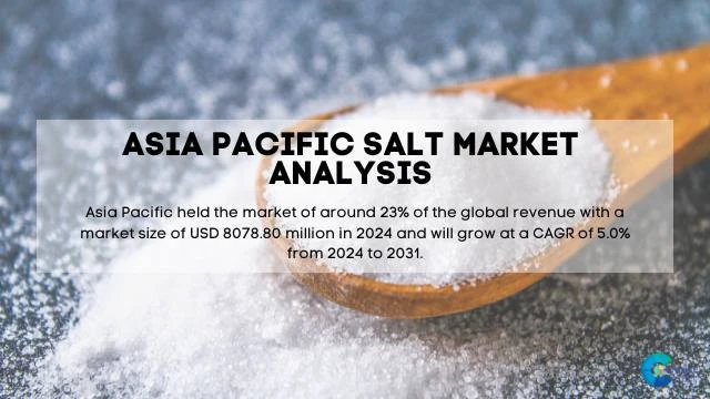 Asia Pacific Salt Market Report