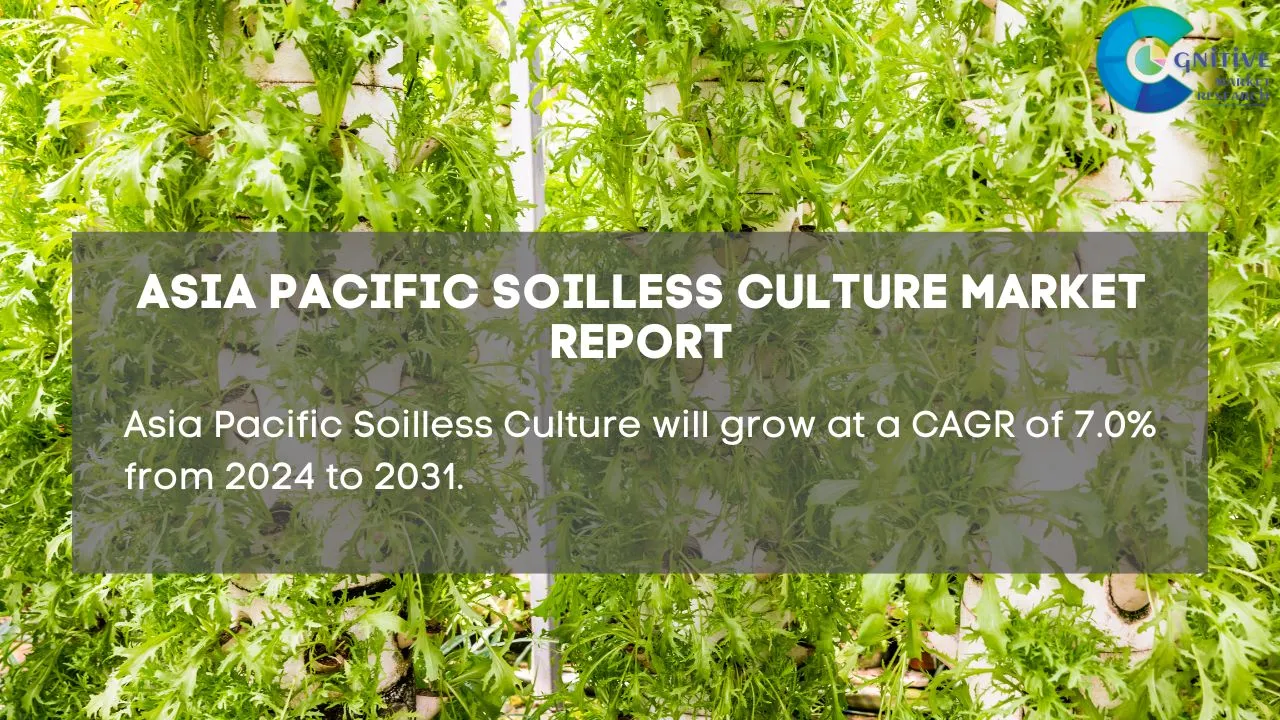 Asia Pacific Soilless Culture Market Report