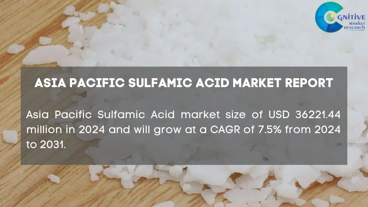 Asia Pacific Sulfamic Acid Market Report
