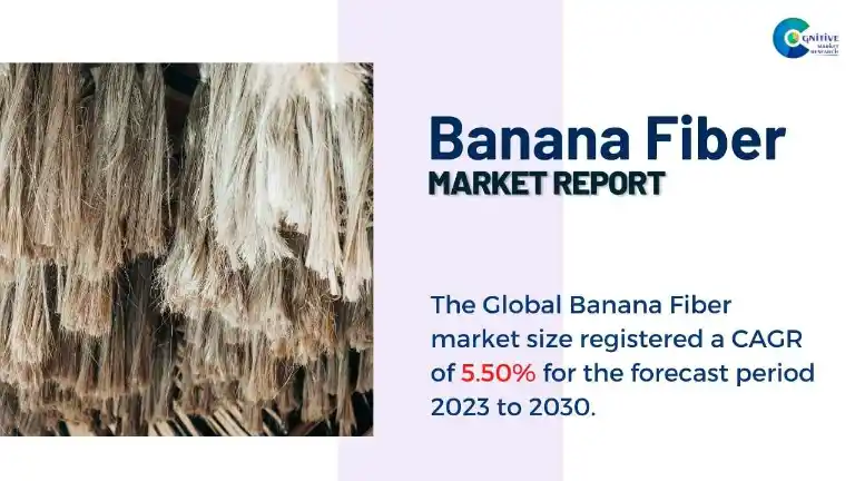 Banana Fiber Market Report