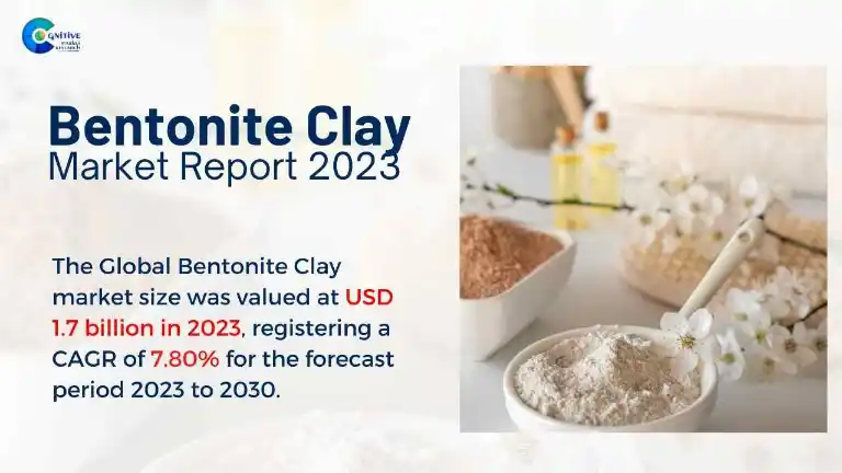 Bentonite Clay Market Report