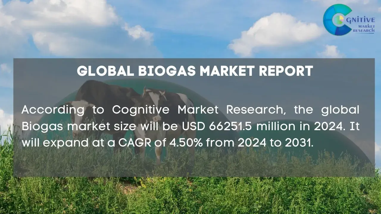 Biogas Market Report
