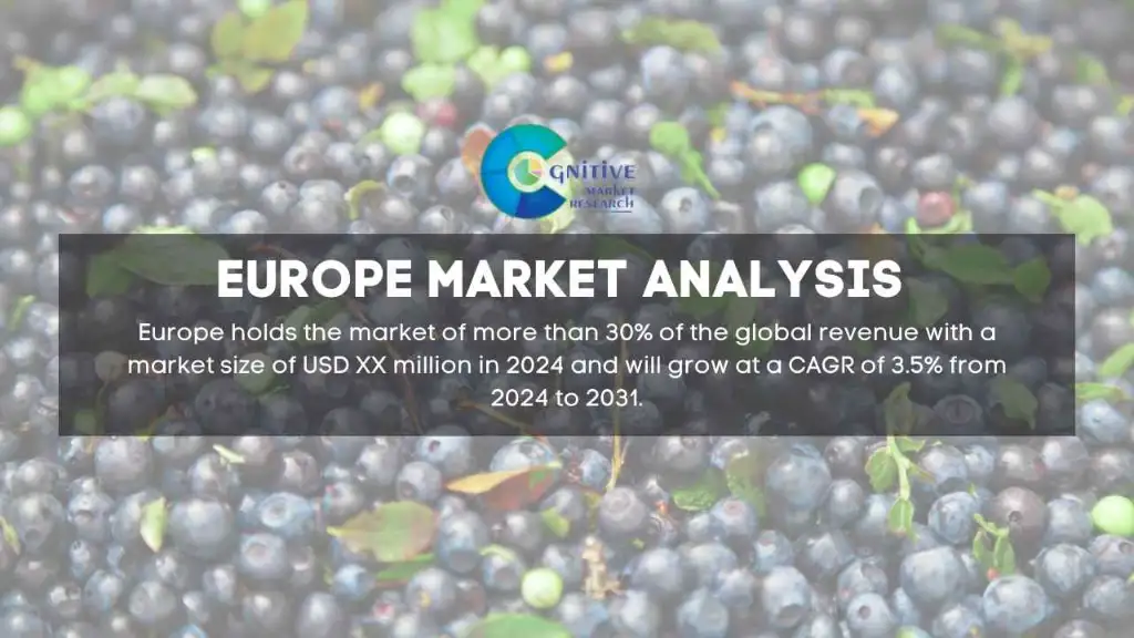 Europe Blueberry Flavor Market Report