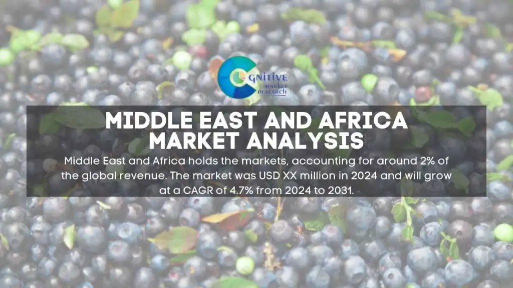 Middle East Blueberry Flavor Market Report