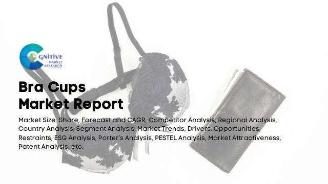Bra Cups Market Report