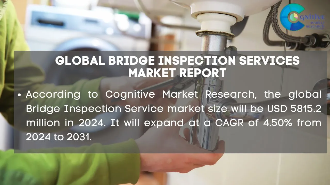 Bridge Inspection Services Market Report