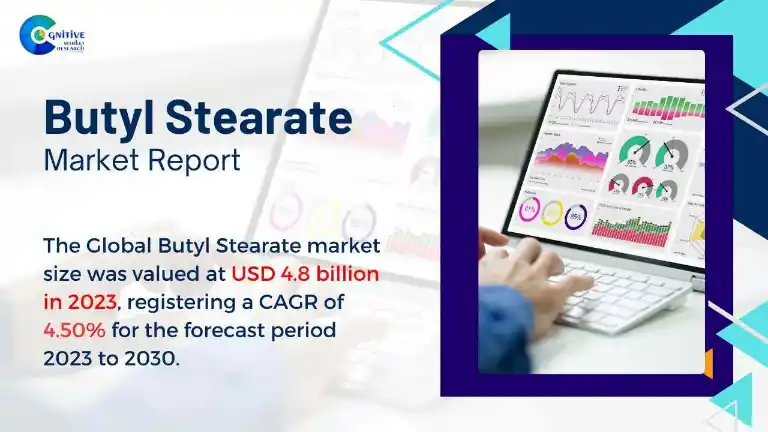 Butyl Stearate Market Report