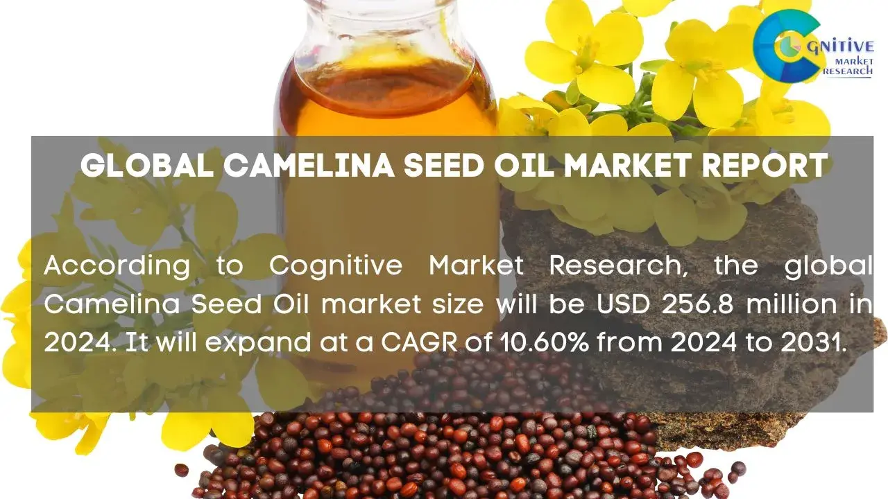 Camelina Seed Oil Market Report