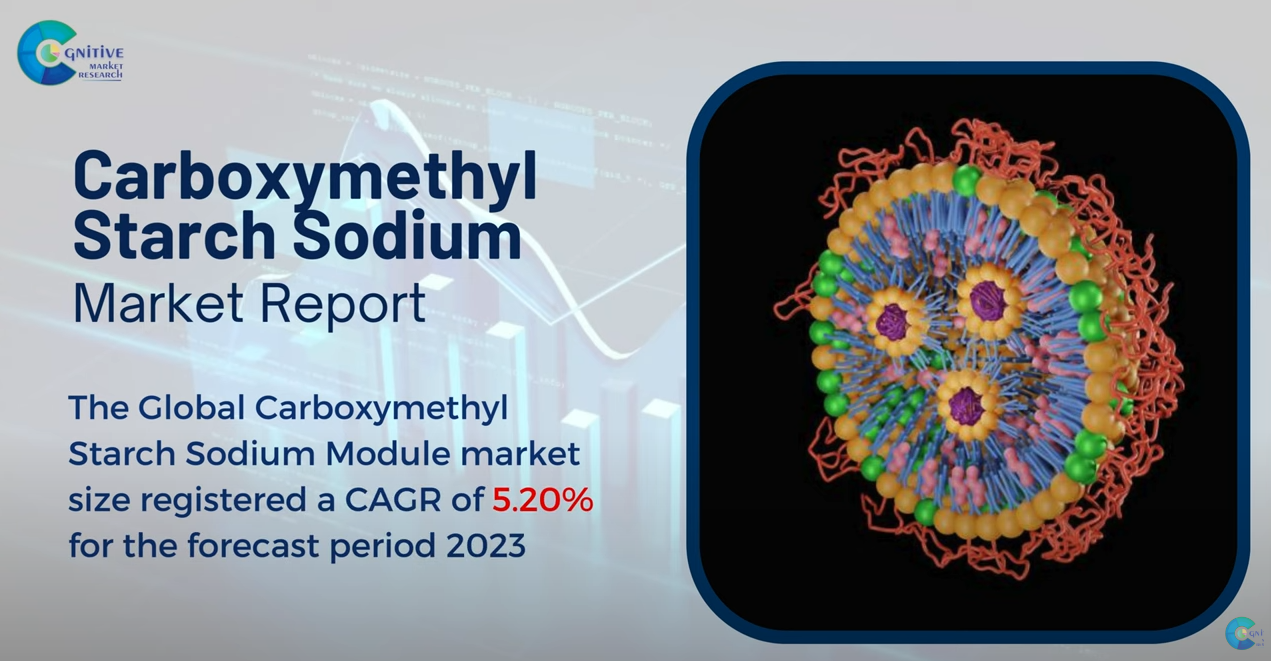 Carboxymethyl Starch Sodium Market Report