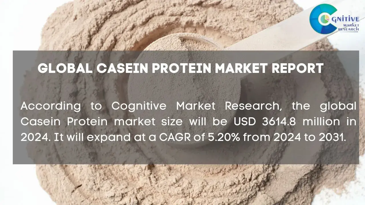 Casein Protein Market Report