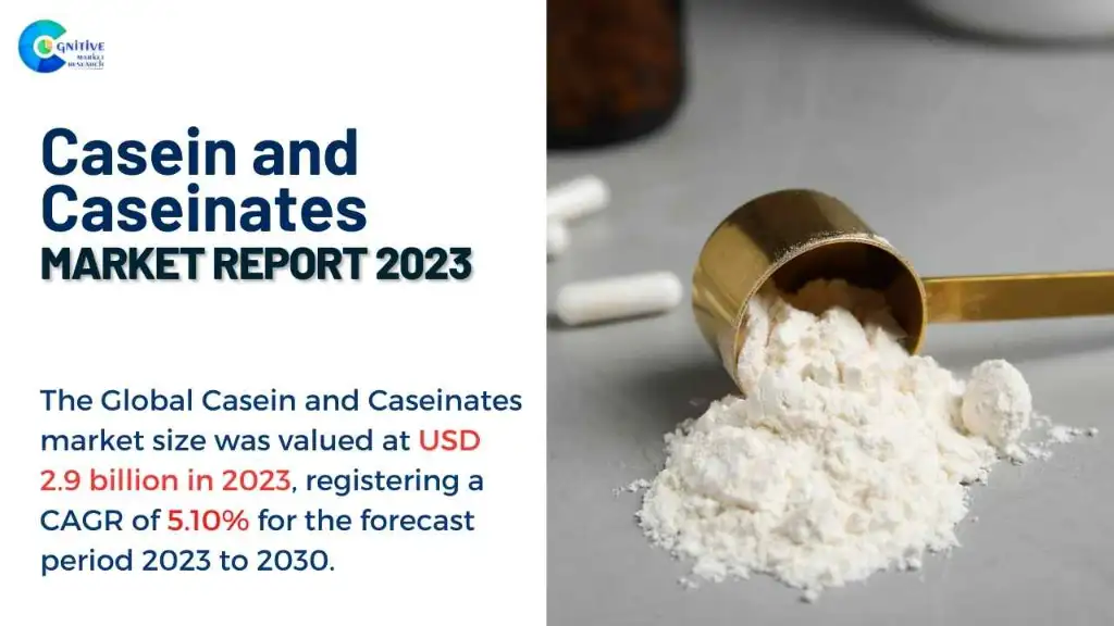 Casein and Caseinates Market Report