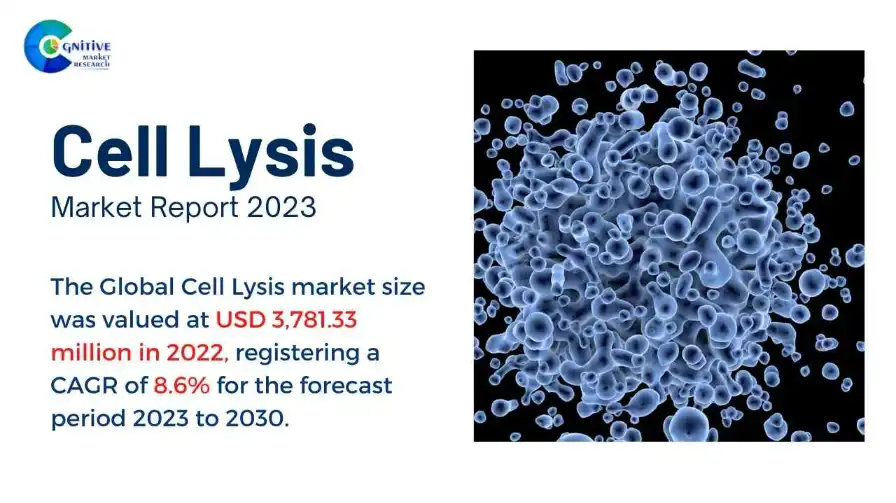 Cell Lysis Market Report