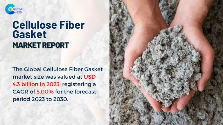 Cellulose Fiber Gasket Market Report