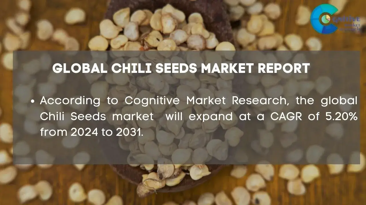 Chili Seeds Market Report