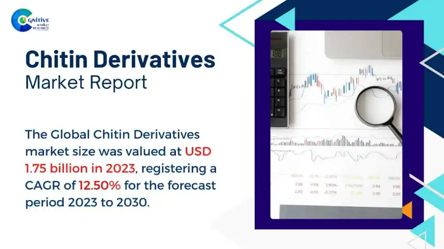 Chitin Derivatives Market Report