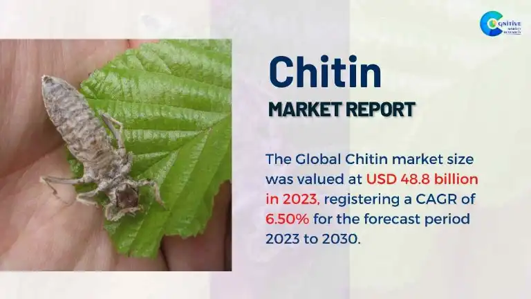 Chitin Market Report