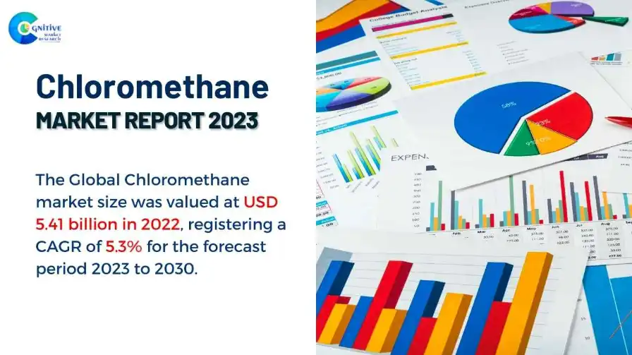 Chloromethane Market Report
