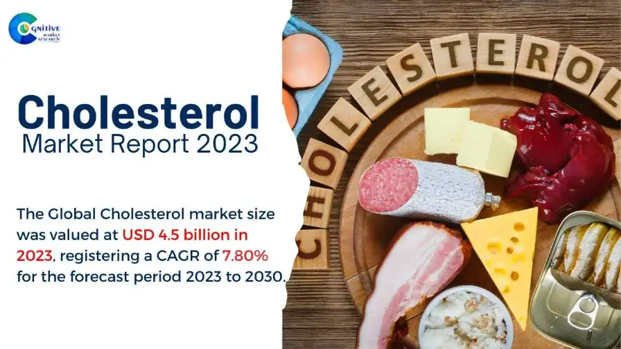 Cholesterol Market Report