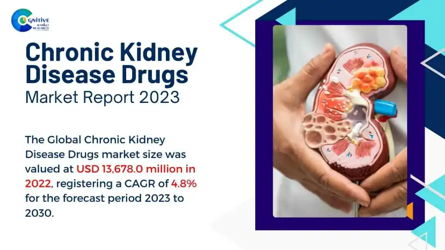 Chronic Kidney Disease Drugs Market Report