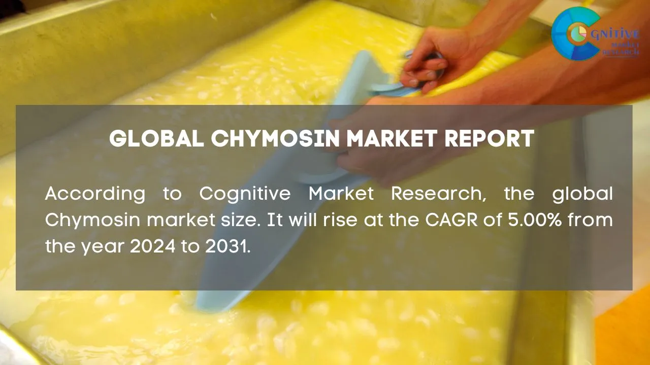 Chymosin Market Report