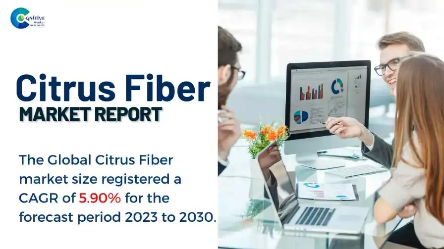 Citrus Fiber Market Report