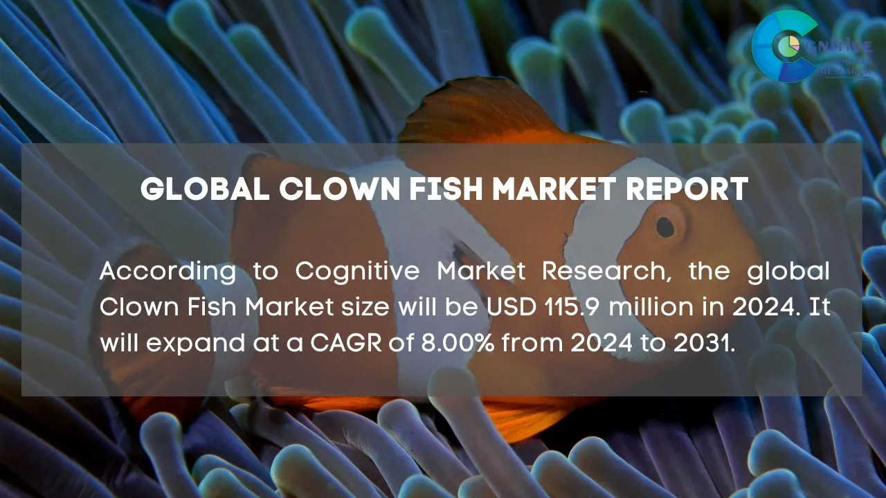 Clown Fish Market Report