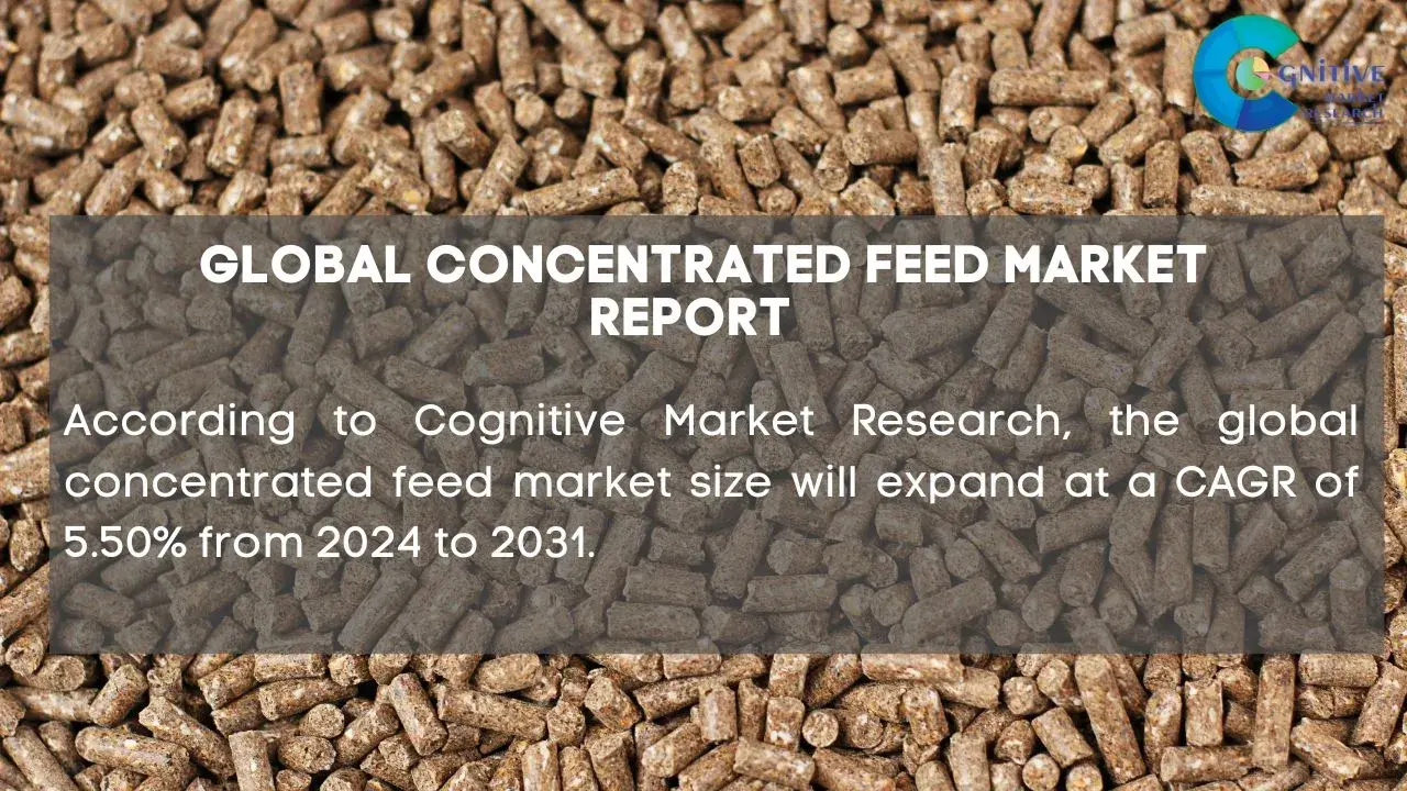 Concentrated Feed Market Report