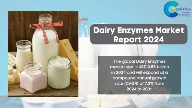 Dairy Enzymes Market Report