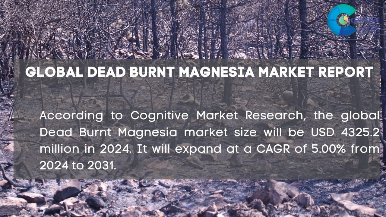 Dead Burnt Magnesia Market Report