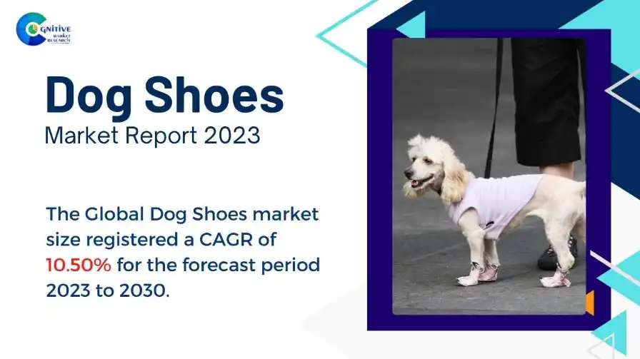 Dog Shoes Market Report