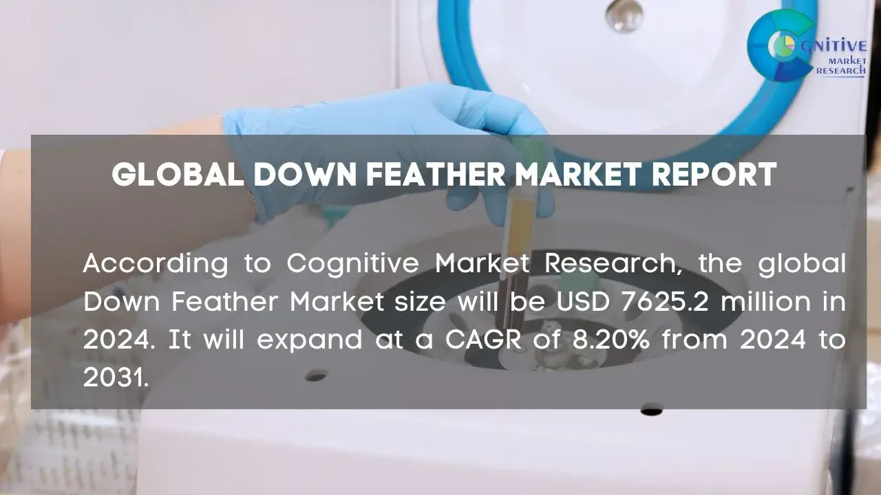 Down Feather Market Report