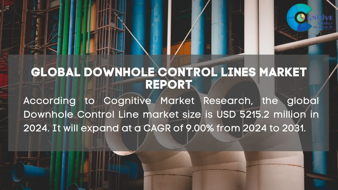Downhole Control Lines Market Report