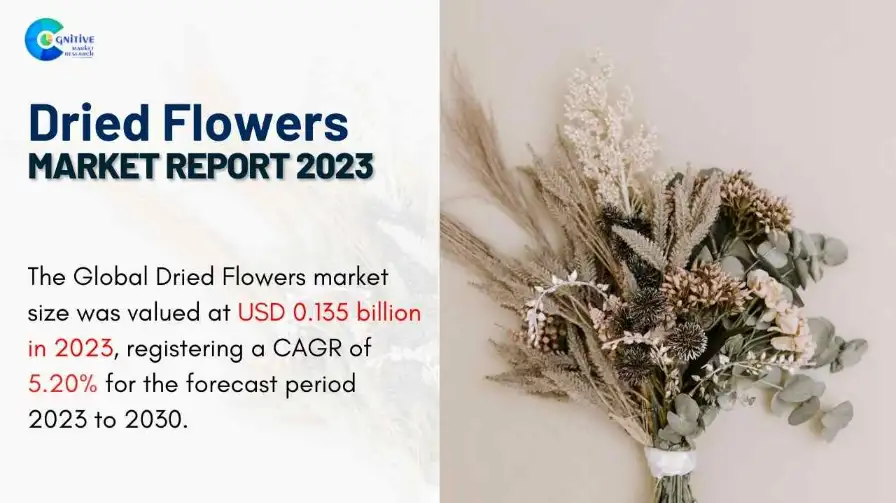 Dried Flowers Market Report