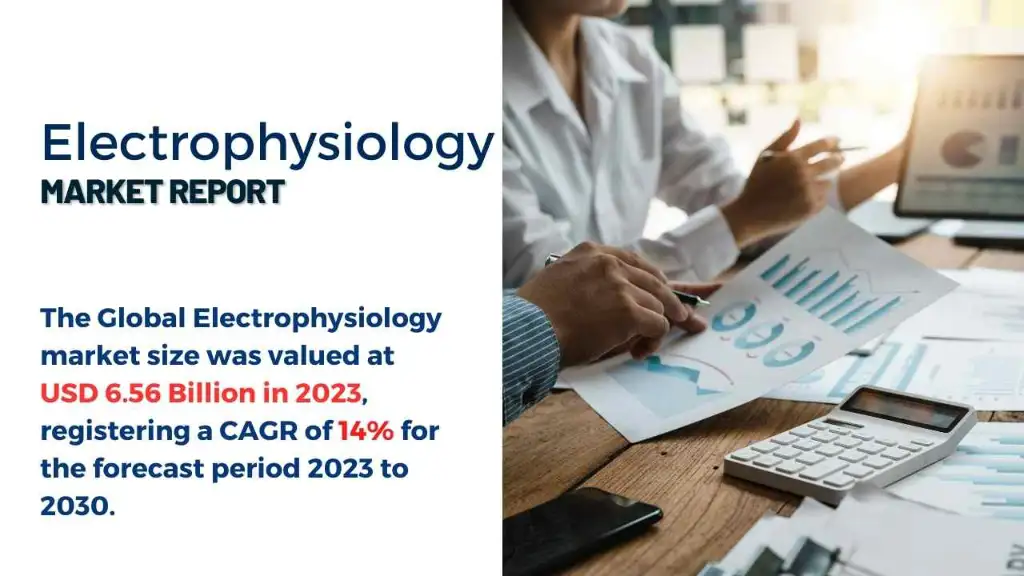 Electrophysiology Market Report