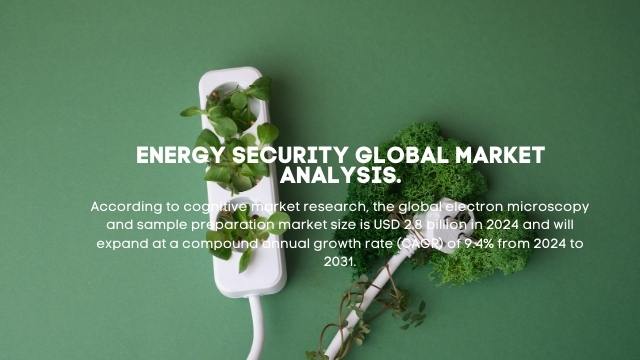 Energy Security Market Report