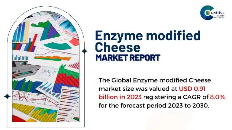 Enzyme modified Cheese Market Report
