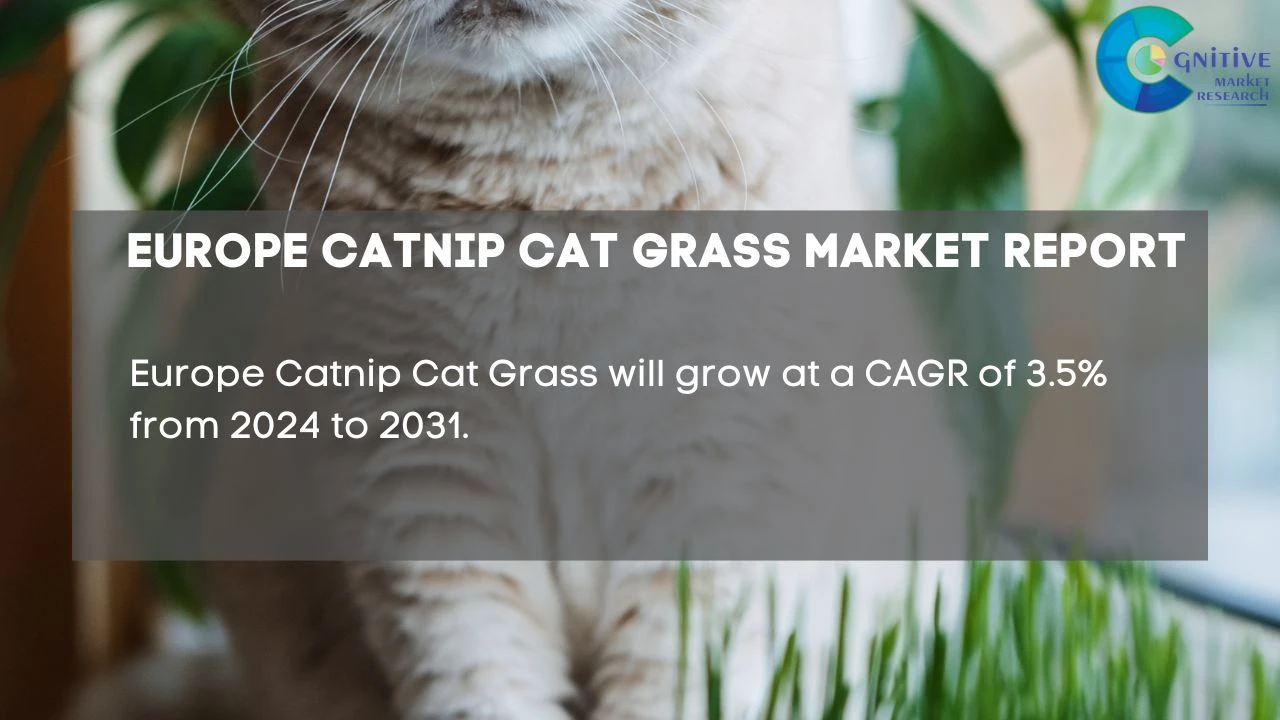 Europe Catnip Cat Grass Market Report