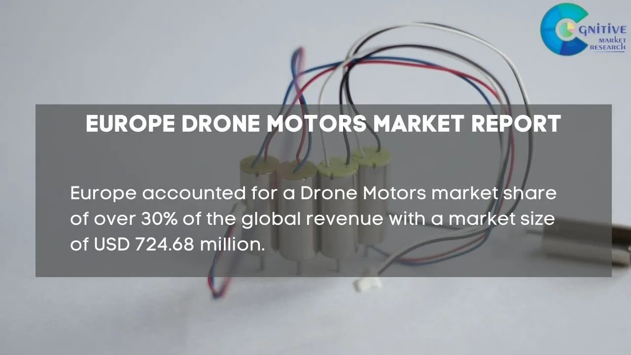 Europe Drone Motors Market Report